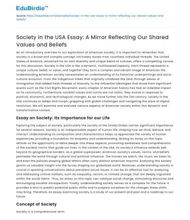 USA Society: Reflecting Shared Values & Beliefs