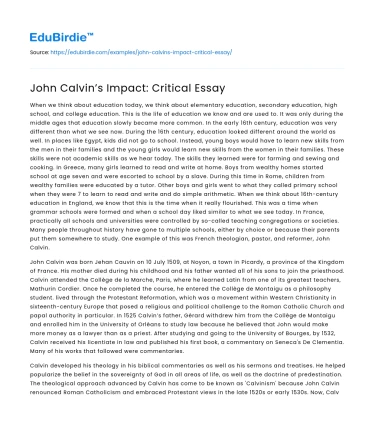 John Calvin’s Impact: Critical Essay