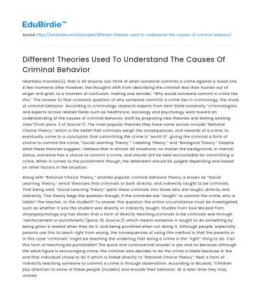 Different Theories Used To Understand The Causes Of Criminal Behavior