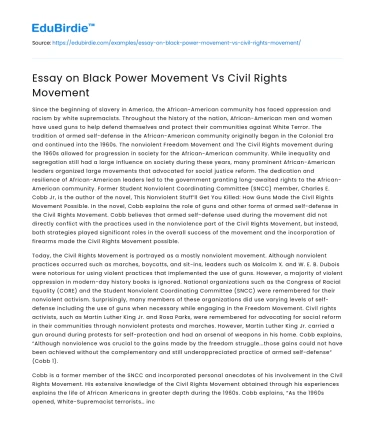 Essay on Black Power Movement Vs Civil Rights Movement