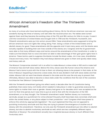 African American’s Freedom after The Thirteenth Amendment