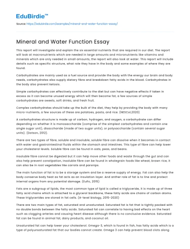 Mineral and Water Function Essay