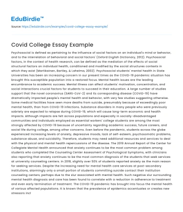 Covid College Essay Example