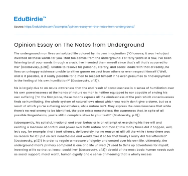 Opinion Essay on The Notes from Underground
