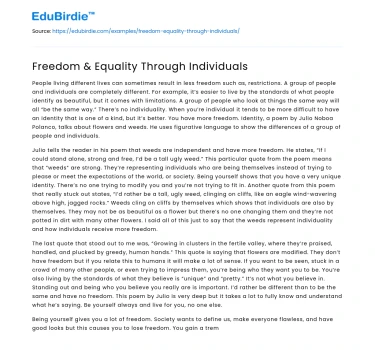 Freedom & Equality Through Individuals