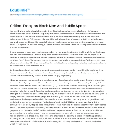 Critical Essay on Black Men And Public Space