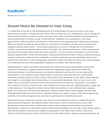 Should Felons Be Allowed to Vote: Essay