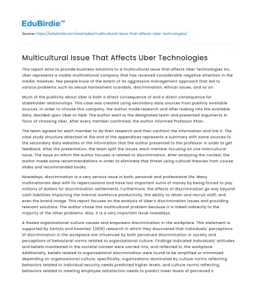 Multicultural Issue That Affects Uber Technologies