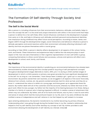 The Formation Of Self Identity Through Society And Profession