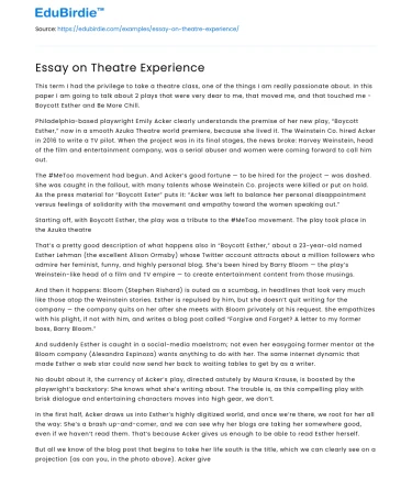 Essay on Theatre Experience