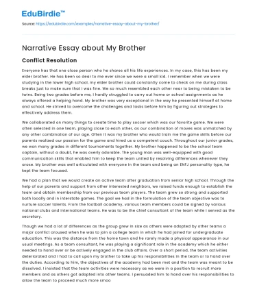 Narrative Essay about My Brother