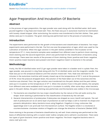 Agar Preparation And Incubation Of Bacteria
