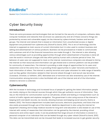 Cyber Security Essay