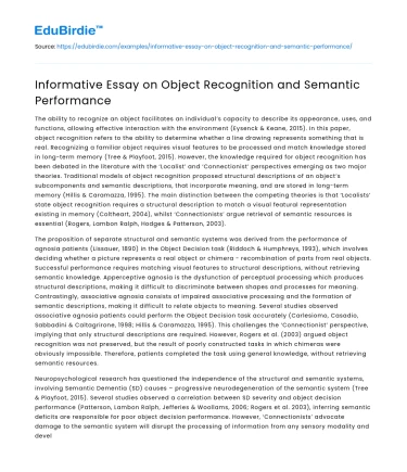 Informative Essay on Object Recognition and Semantic Performance