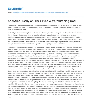 Analytical Essay on ‘Their Eyes Were Watching God’