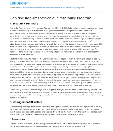 Plan and Implementation of a Mentoring Program