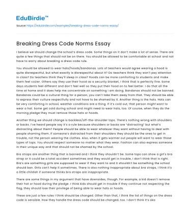 Breaking Dress Code Norms Essay