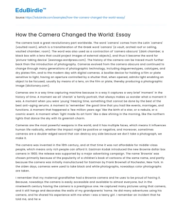 How the Camera Changed the World: Essay