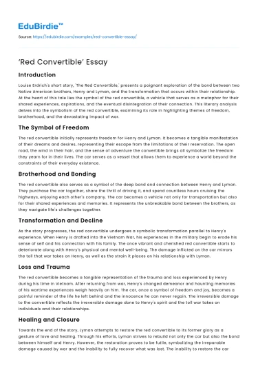 ‘Red Convertible’ Essay