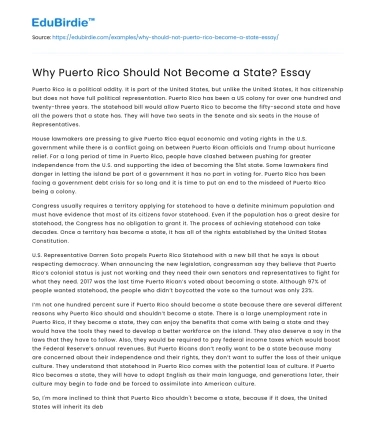 Why Puerto Rico Should Not Become a State? Essay