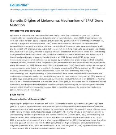 Genetic Origins of Melanoma: Mechanism of BRAF Gene Mutation