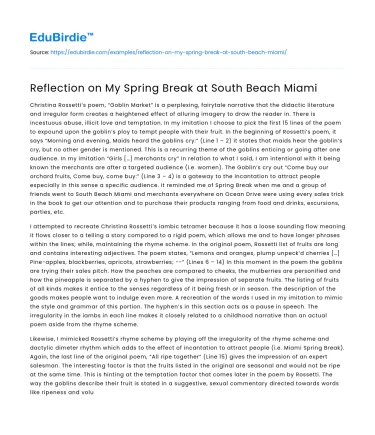 My Miami Spring Break Experience