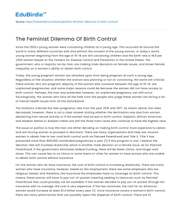 Birth Control: Navigating Feminist Challenges