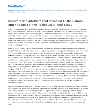 Holocaust Survivors and Artefacts