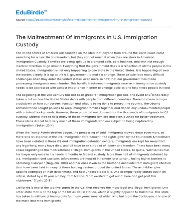 The Maltreatment Of Immigrants In U.S. Immigration Custody