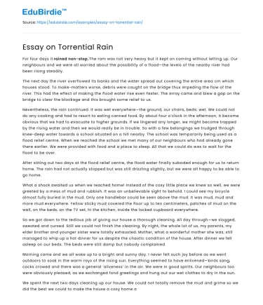 Essay on Torrential Rain