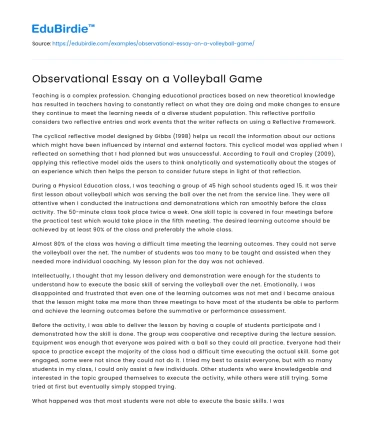 Observational Essay on a Volleyball Game