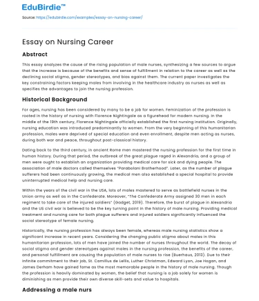 Essay on Nursing Career