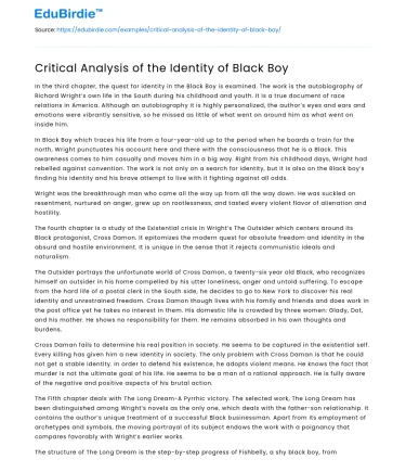 Critical Analysis of the Identity of Black Boy