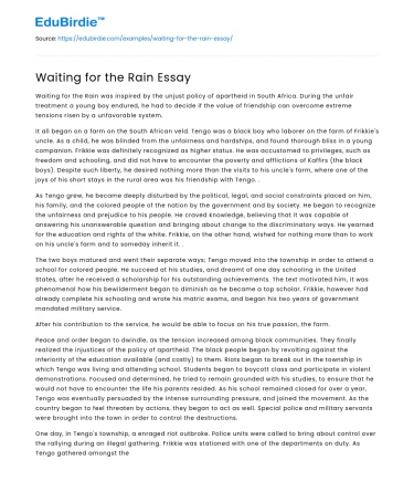 Waiting for the Rain Essay