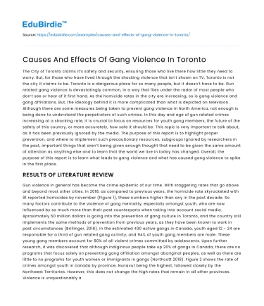 Causes And Effects Of Gang Violence In Toronto
