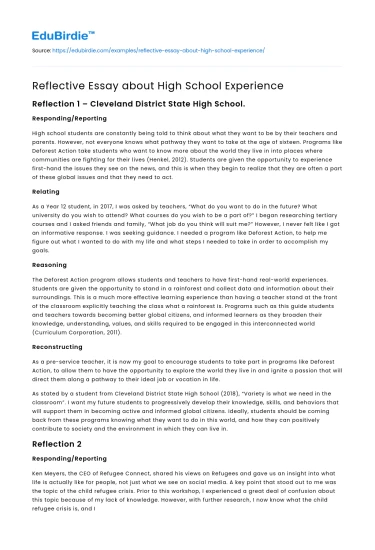 Reflective Essay about High School Experience