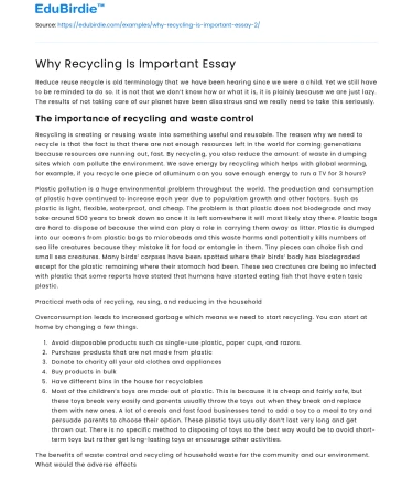 Why Recycling Is Important Essay