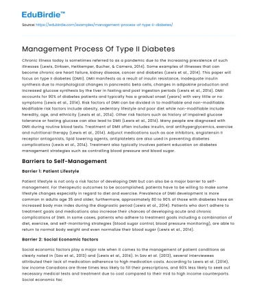 Management Process Of Type II Diabetes
