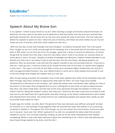 Speech About My Brave Son