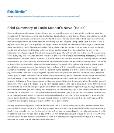 Brief Summary of Louis Sachar’s Novel ‘Holes’