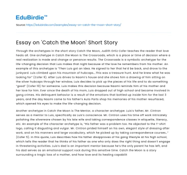 Essay on ‘Catch the Moon’ Short Story
