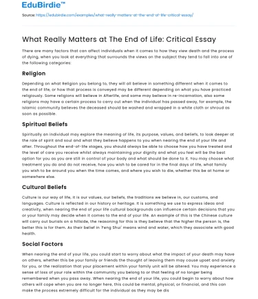 What Really Matters at The End of Life: Critical Essay