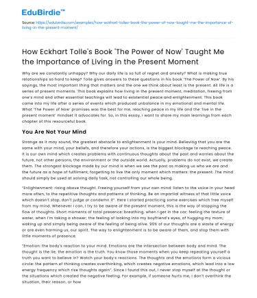 Eckhart Tolle’s ‘The Power of Now’ Teaches Living Presently