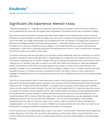 Significant Life Experience: Memoir Essay
