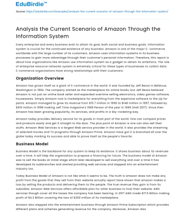Amazon’s Information System Efficacy