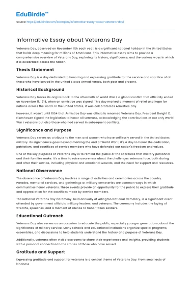 Informative Essay about Veterans Day