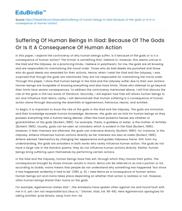 Suffering in Iliad: Divine or Human Cause?