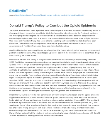 Evaluating Trump’s Opioid Crisis Strategy