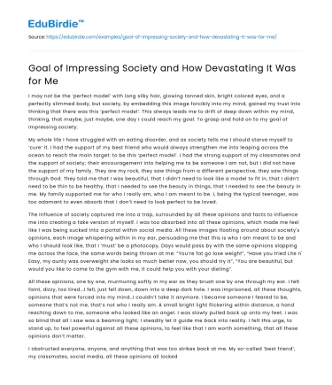 Goal of Impressing Society and How Devastating It Was for Me