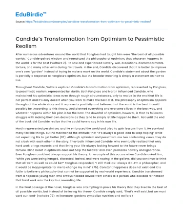 Candide’s Transformation from Optimism to Pessimistic Realism